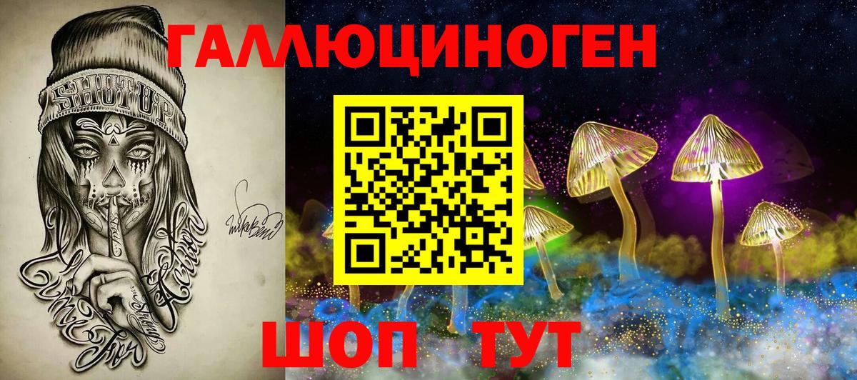 Псилоцибиновые грибы мицелий  Вход с VPN  Псилоцибиновые грибы GOLDEN TEACHER  Соль-Илецк 